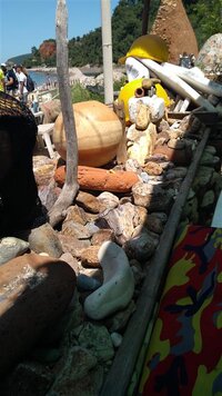 IMG_20210525_123223 (Medium).jpg