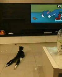 20201009_141418.jpg