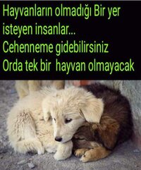 FB_IMG_1578855015203.jpg
