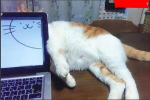 Screenshot_14.jpg