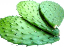 1624305040202.png