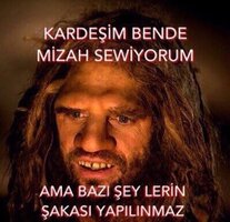 954B7DD9-E8B8-440D-AEE2-A5E620CCECD2.jpeg