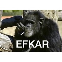 216EBDAC-B13F-4CFF-AA3D-F031804D80AF.jpeg