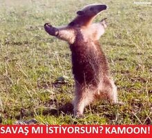 24CA9C44-A5AA-4D22-AA35-B3F2E1A393EF.jpeg