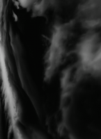 1589113111066.png