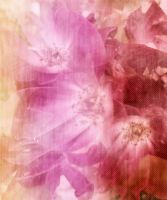 1589115930294.png