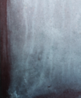 1589116029215.png