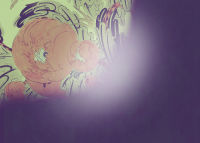 1589116631582.png