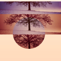 1589117260075.png