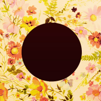 1589117353227.png
