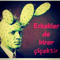 1589197918069.png