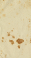 1589204526880.png