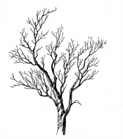 1589204584658.png