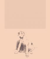 1589204709371.png