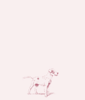 1589204809512.png