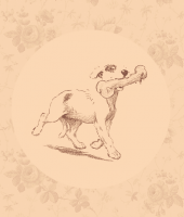 1589204840623.png