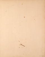 1589204896998.png