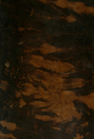 1589205068784.png