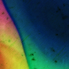 1589205114149.png