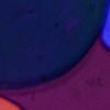 1589205147394.png