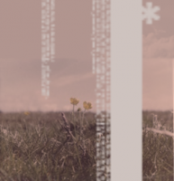 1589205238326.png