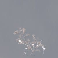 1589205548073.png
