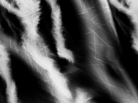 1589206166974.png