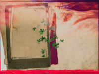 1589206257232.png
