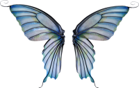 1589206331631.png