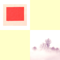 1589206579382.png