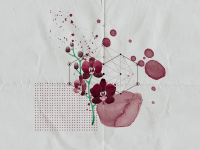 1589206678980.png