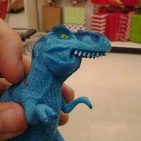 images (9).jpeg