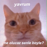 1628974562420.png