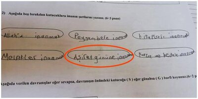 images (22) (71).jpeg