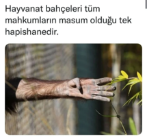 1629389411679.png