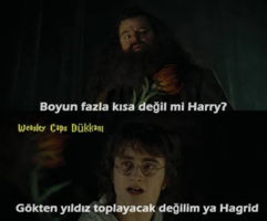1629917224204.png