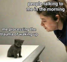 1630712052524.png