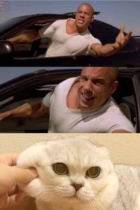 1630712322549.png