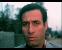 1630774454013.png