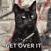 unamused-cat.gif unamused-cat.gif