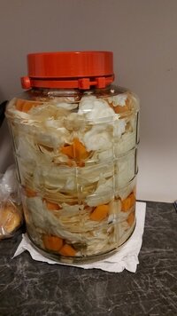 IMG-20210913-WA0002.jpeg
