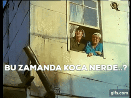 giphy (4).gif
