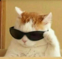 1633940165040.png