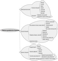 440px-Maslow_tr.svg.png