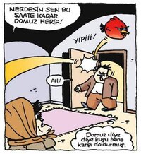 images (29).jpeg