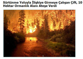 Adsız.png Adsız.png