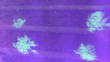 1639155513565.png 1639155513565.png