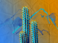 1589380623106.png