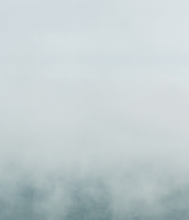 1589381552290.png