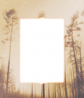 1589381986320.png